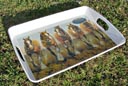 Serving Tray clydesdale team design
