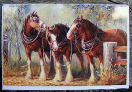 Link To Gallery of clydesdale cards 