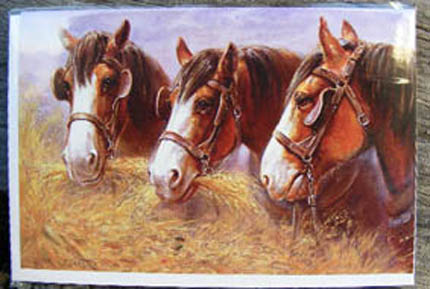 C049-Clydesdale-Cards-3heads-mugdesign