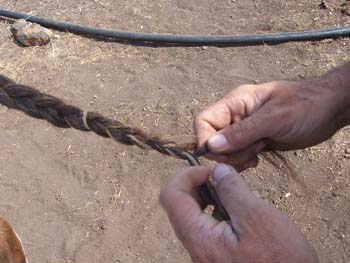 Clydesdale-Tail-Plaiting-25