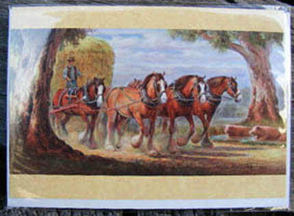 C072-SunlitWallow-HayTeam