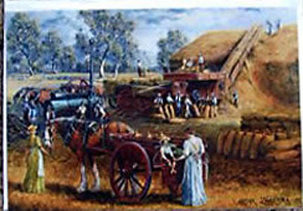 C089_golden_Harvest_jpg