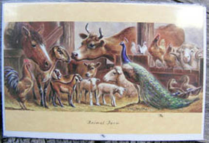 C112-Clydesdale-Cards-AnimalFarm