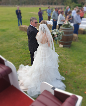 horse wedding