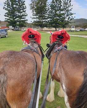 wedding by horse & carriage