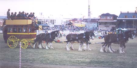 3-Duneske-clydesdale-Team-6-inhand-RNA98