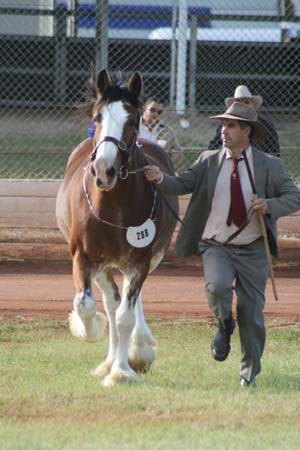 5-Duneske-Countess3-GattonFD09-2fromKaty301