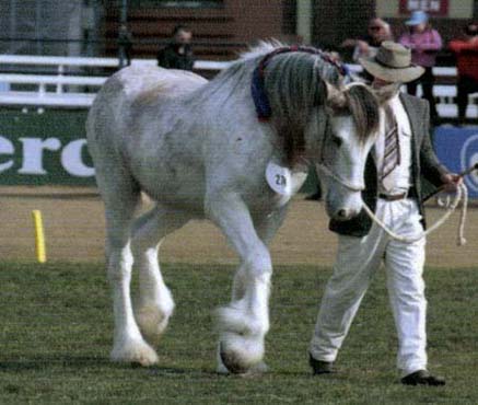9-Duneske-Flash-Princess-Ekka2001