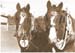 1-Bess&WilsonHeads-June1995-sepia