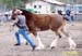 5-Duneske-Countess2-WDHE07-KatyDriverpic