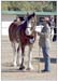 7-Duneske-Lucky-Knight-6ByAnnieM06