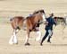7-Duneske-Lucky-Knight-6Champ3yrFoalshow2006 