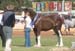 8-Duneske-Regal-Gift-2GattonFD05JnrChamp
