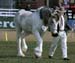9-Duneske-Flash-Princess-Ekka2001