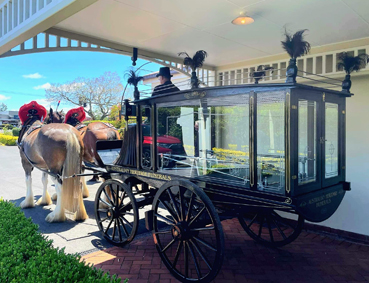 horse drawn hearse