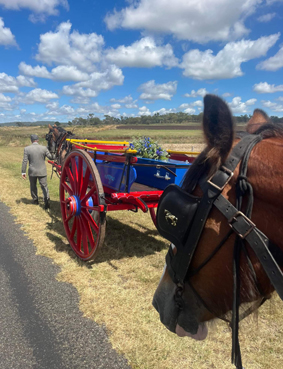 draught horse funeral coffin